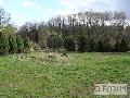 Działka  na sprzedaż - 
       Brzozówka 
       	  - 3504.00  m2